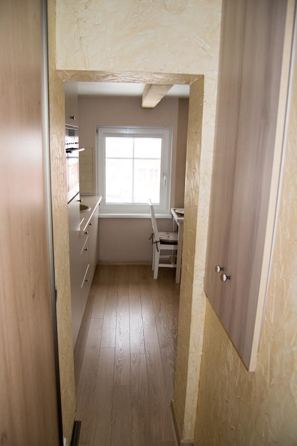 Skruzdynes Apartamentai Nida Kültér fotó